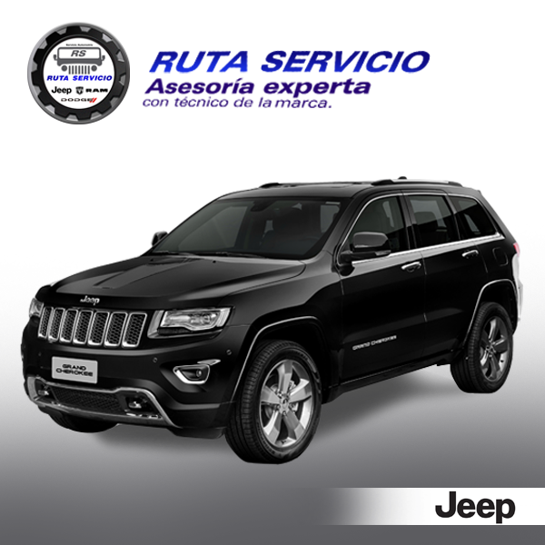 Mecánico a domicilio, asesoria técnica JEEP